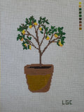 Potted Lemon Tree Canvas