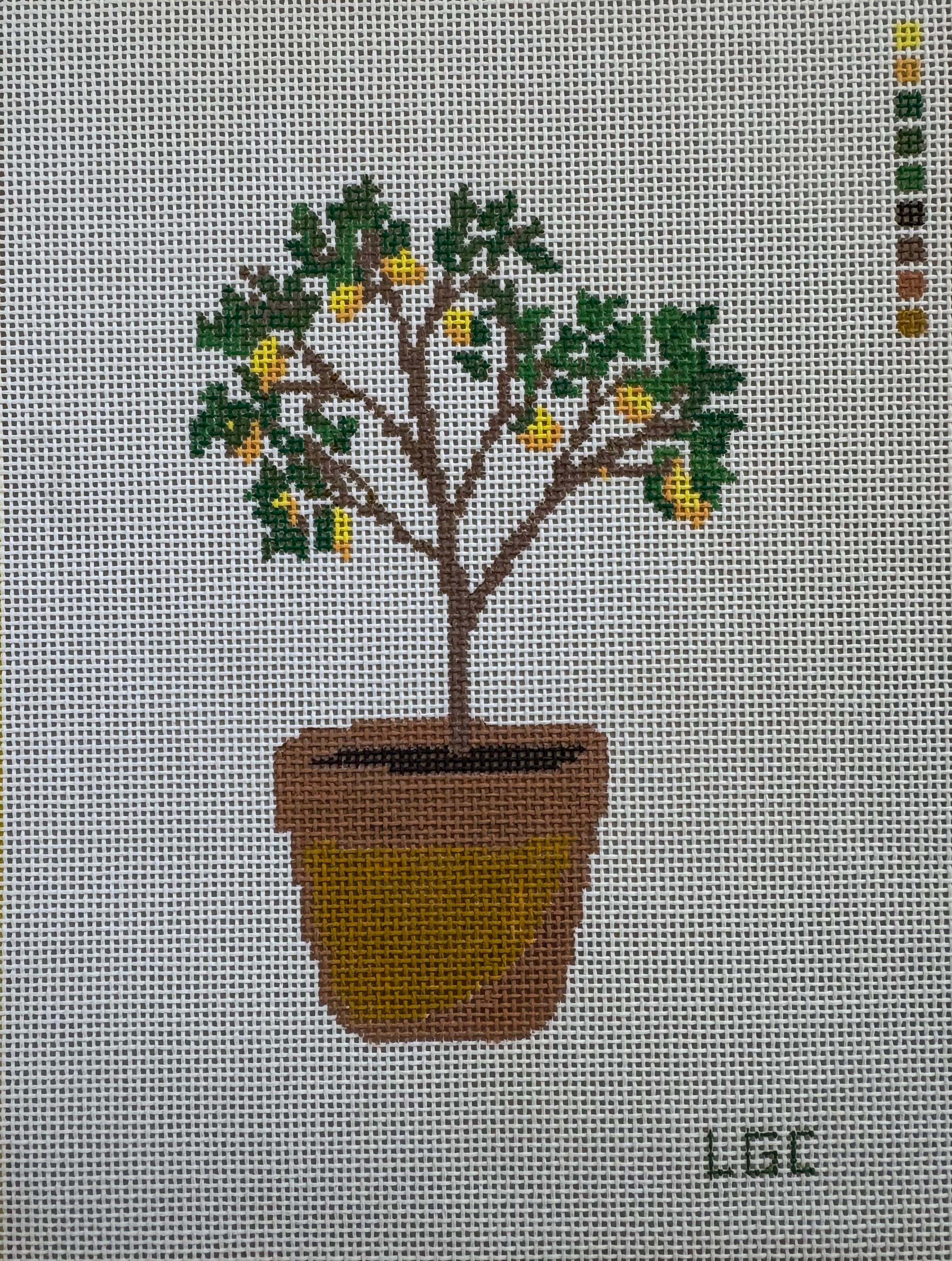 Potted Lemon Tree Canvas